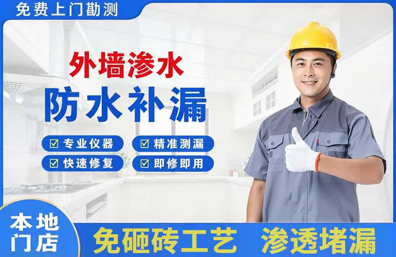 大悟外墙渗水维修